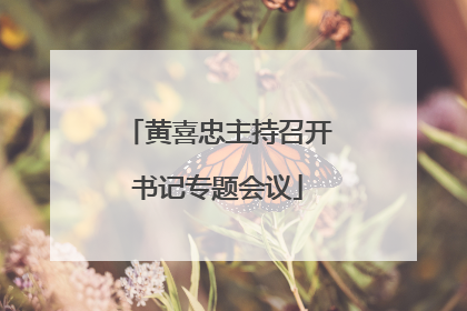 黄喜忠主持召开书记专题会议