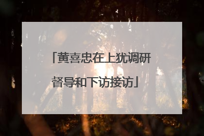黄喜忠在上犹调研督导和下访接访