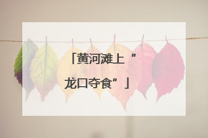 黄河滩上“龙口夺食”