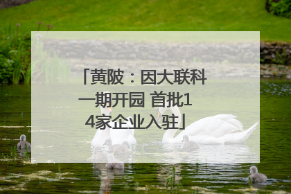 黄陂：因大联科一期开园 首批14家企业入驻
