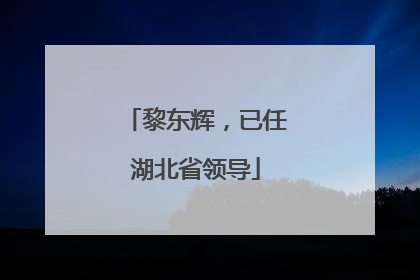 黎东辉，已任湖北省领导