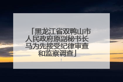 黑龙江省双鸭山市人民政府原副秘书长马为先接受纪律审查和监察调查