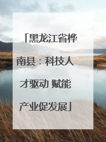 黑龙江省桦南县：科技人才驱动 赋能产业促发展