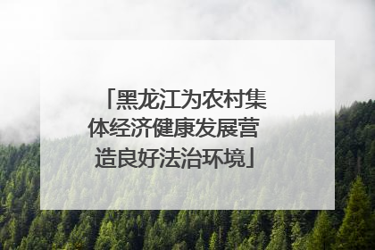 黑龙江为农村集体经济健康发展营造良好法治环境