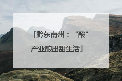 黔东南州：“酸”产业酿出甜生活