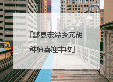 黟县宏潭乡元胡种植喜迎丰收