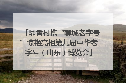 鼎香村携“聊城老字号”惊艳亮相第九届中华老字号（山东）博览会