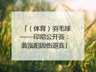 （体育）羽毛球——印尼公开赛：翁泓阳因伤退赛