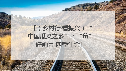 （乡村行·看振兴）“中国瓜菜之乡”：“莓”好前景 四季生金