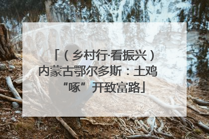 （乡村行·看振兴）内蒙古鄂尔多斯：土鸡“啄”开致富路