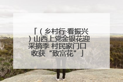 （乡村行·看振兴）山西上党金银花迎采摘季 村民家门口收获“致富花”