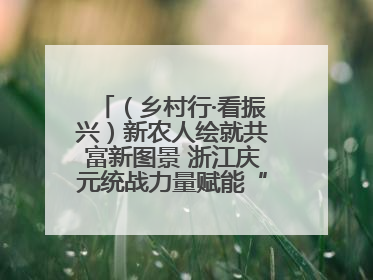 （乡村行·看振兴）新农人绘就共富新图景 浙江庆元统战力量赋能“海拔经济”