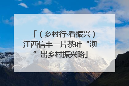 （乡村行·看振兴）江西信丰一片茶叶“沏”出乡村振兴路