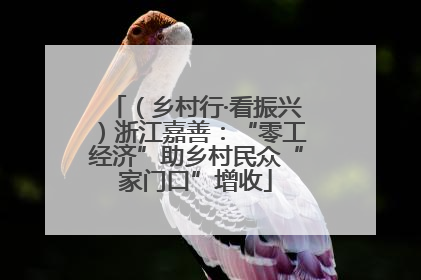 （乡村行·看振兴）浙江嘉善：“零工经济”助乡村民众“家门口”增收