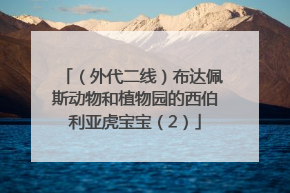 （外代二线）布达佩斯动物和植物园的西伯利亚虎宝宝（2）