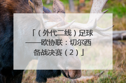 （外代二线）足球——欧协联：切尔西备战决赛（2）
