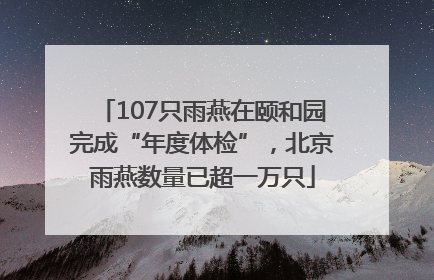 107只雨燕在颐和园完成“年度体检”，北京雨燕数量已超一万只
