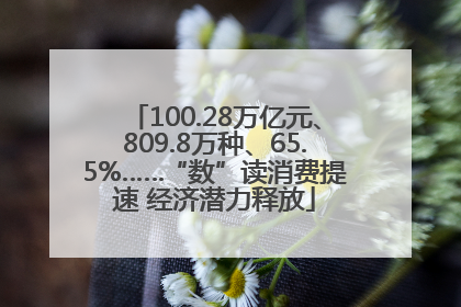 100.28万亿元、809.8万种、65.5%……“数”读消费提速 经济潜力释放