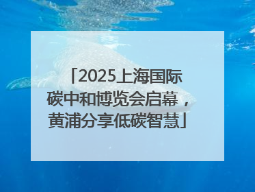 2025上海国际碳中和博览会启幕，黄浦分享低碳智慧