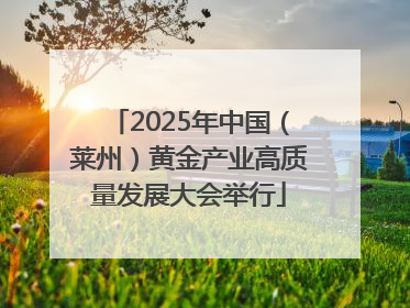 2025年中国（莱州）黄金产业高质量发展大会举行
