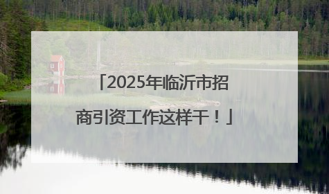 2025年临沂市招商引资工作这样干！