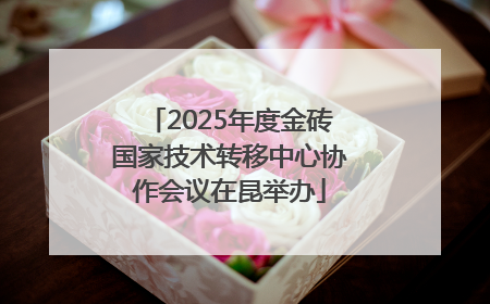 2025年度金砖国家技术转移中心协作会议在昆举办