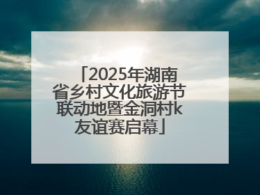 2025年湖南省乡村文化旅游节联动地暨金洞村k友谊赛启幕