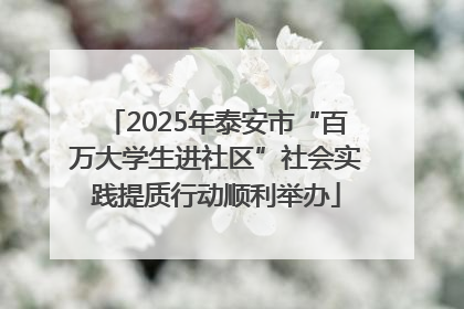 2025年泰安市“百万大学生进社区”社会实践提质行动顺利举办