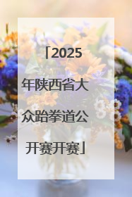 2025年陕西省大众跆拳道公开赛开赛
