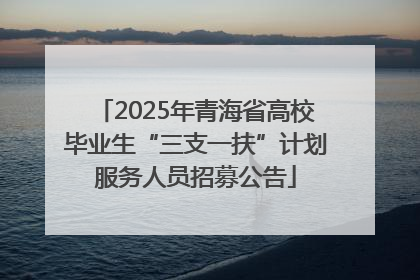 2025年青海省高校毕业生“三支一扶”计划服务人员招募公告