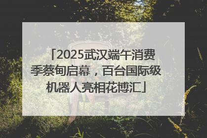 2025武汉端午消费季蔡甸启幕，百台国际级机器人亮相花博汇