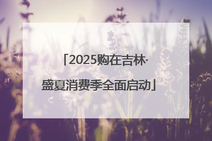 2025购在吉林·盛夏消费季全面启动