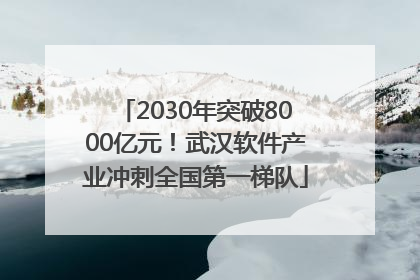 2030年突破8000亿元！武汉软件产业冲刺全国第一梯队