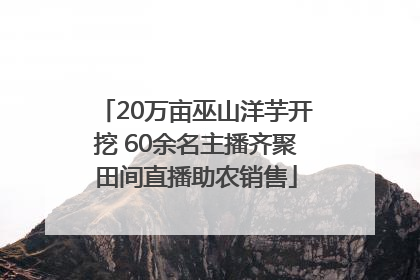 20万亩巫山洋芋开挖 60余名主播齐聚田间直播助农销售