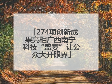 274项创新成果亮相广西南宁 科技“盛宴”让公众大开眼界
