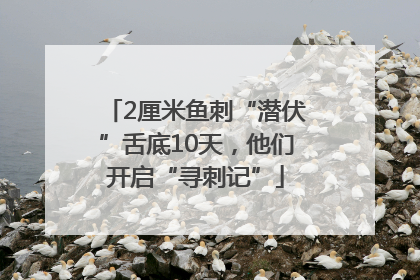 2厘米鱼刺“潜伏”舌底10天，他们开启“寻刺记”