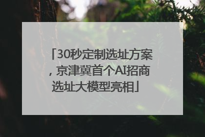 30秒定制选址方案，京津冀首个AI招商选址大模型亮相