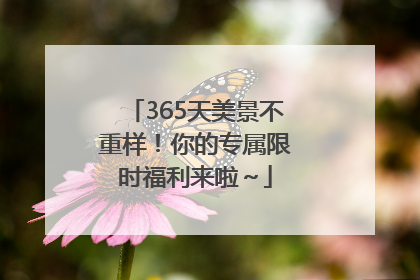 365天美景不重样！你的专属限时福利来啦～