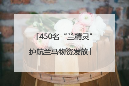 450名“兰精灵”护航兰马物资发放