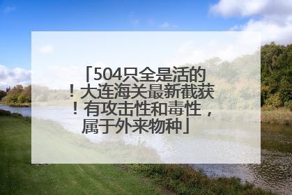 504只全是活的！大连海关最新截获！有攻击性和毒性，属于外来物种