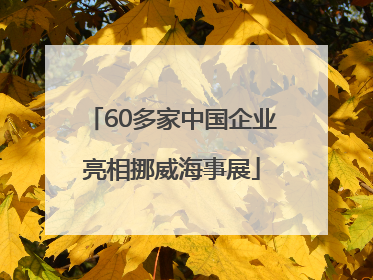 60多家中国企业亮相挪威海事展