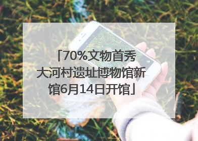 70%文物首秀 大河村遗址博物馆新馆6月14日开馆