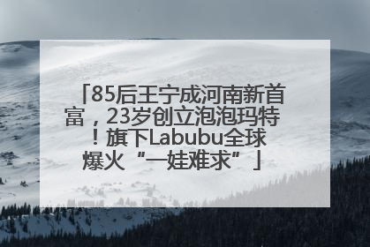 85后王宁成河南新首富，23岁创立泡泡玛特！旗下Labubu全球爆火“一娃难求”