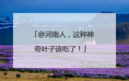 @河南人，这种神奇叶子该吃了！