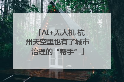 AI+无人机 杭州天空里也有了城市治理的“帮手”