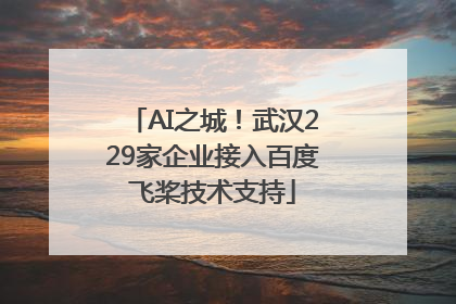 AI之城！武汉229家企业接入百度飞桨技术支持