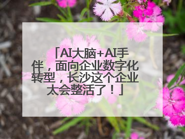 AI大脑+AI手伴，面向企业数字化转型，长沙这个企业太会整活了！
