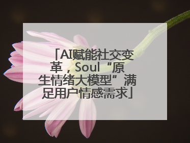 AI赋能社交变革，Soul“原生情绪大模型”满足用户情感需求