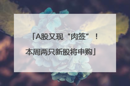 A股又现“肉签”！本周两只新股将申购