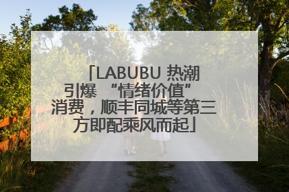 LABUBU 热潮引爆 “情绪价值” 消费，顺丰同城等第三方即配乘风而起